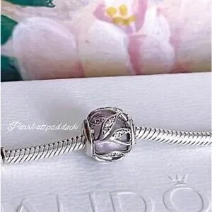Pandora 791969pcz discount